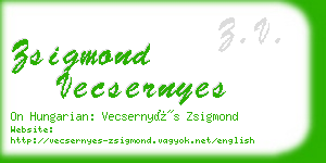 zsigmond vecsernyes business card